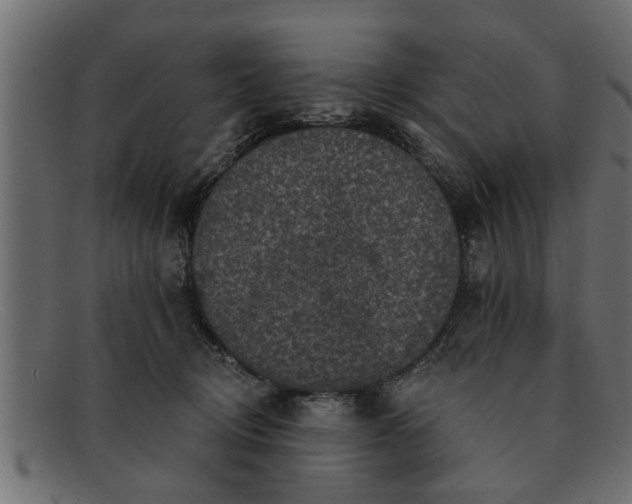 X0000091910370200709191324