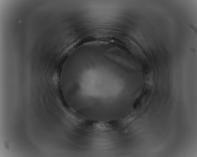 X0000091910372200709191324