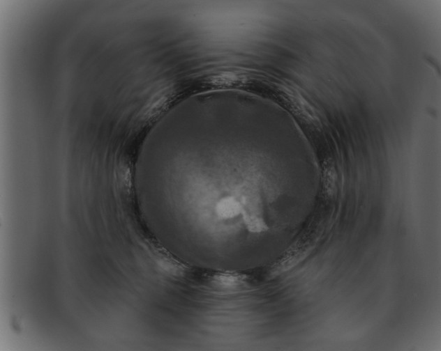 X0000091910375200709191324