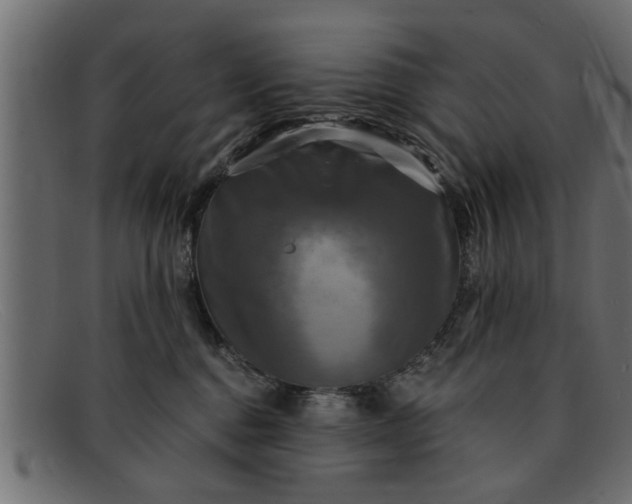 X0000091910376200709191324