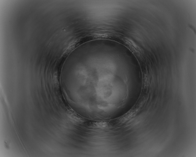 X0000091910377200709191324