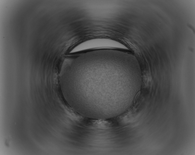 X0000091910379200709191324