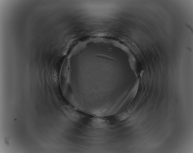 X0000091910380200709191324