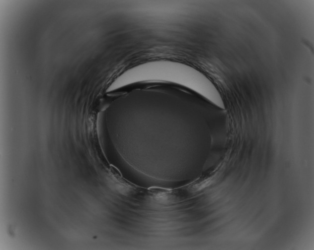 X0000091910382200709191324