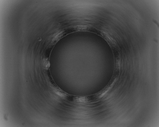 X0000091910383200709191324