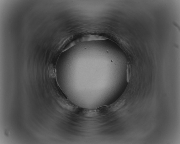 X0000091910384200709191324