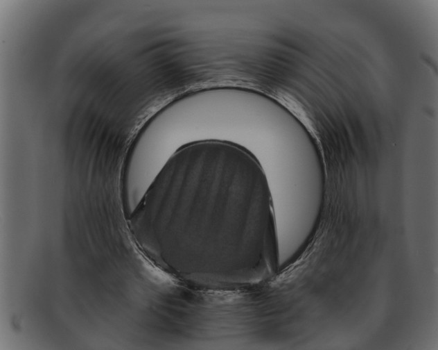 X0000091910389200709191324