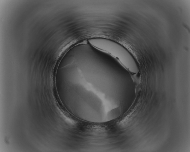 X0000091910390200709191324