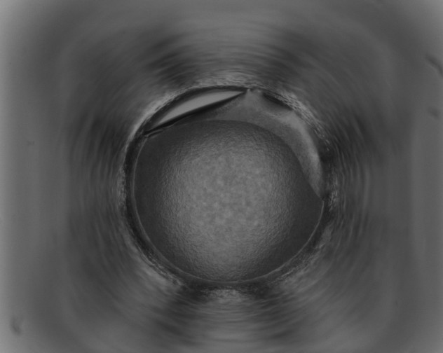 X0000091910392200709191324