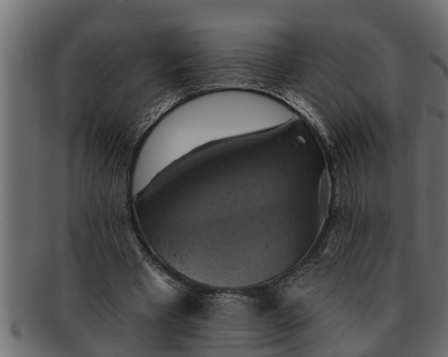 X0000091910393200709191324