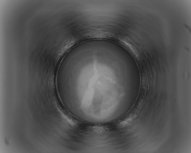 X0000091910394200709191324