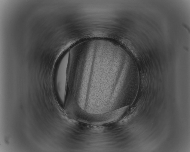 X0000091910395200709191324