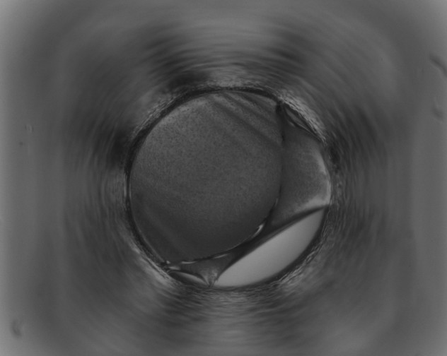 X0000091910397200709191323