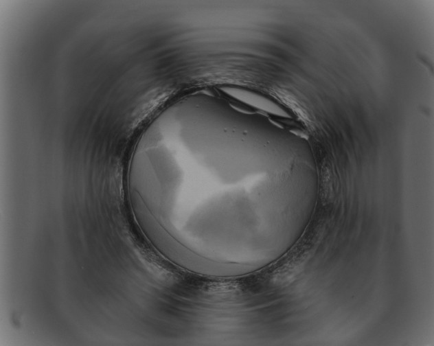 X0000091910398200709191323