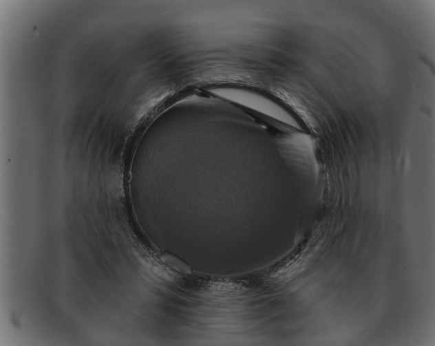 X0000091910399200709191323