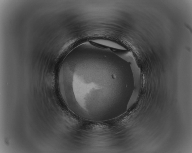 X0000091910400200709191323