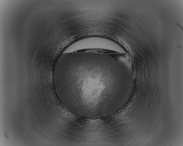 X0000091910401200709191323