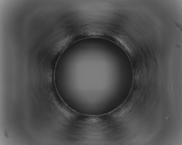 X0000091910402200709191323