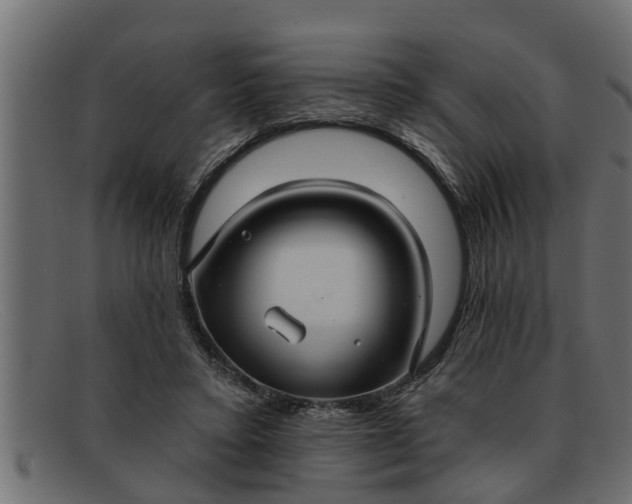 X0000091910403200709191323