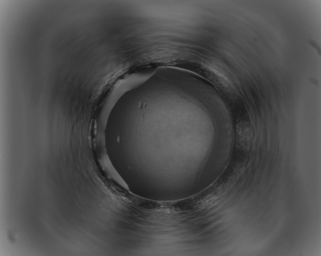 X0000091910404200709191323