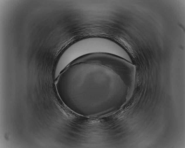 X0000091910405200709191323