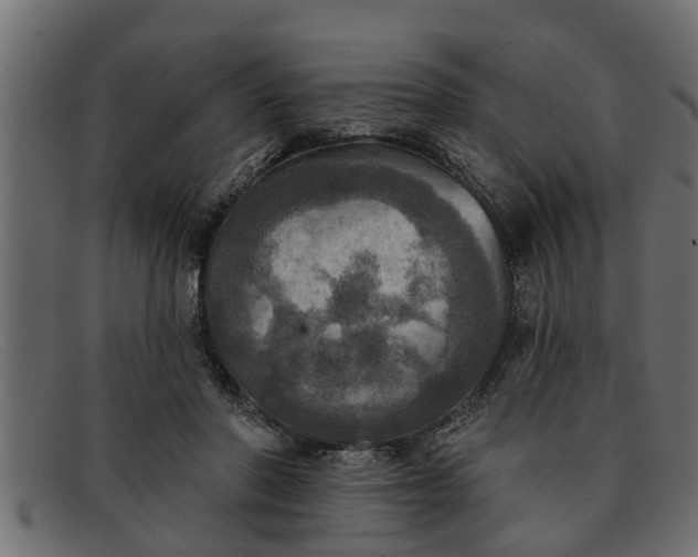 X0000091910406200709191323