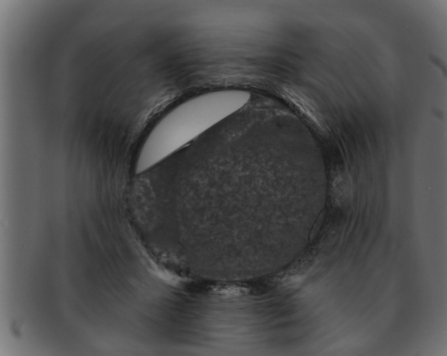 X0000091910407200709191323