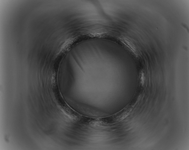 X0000091910408200709191323