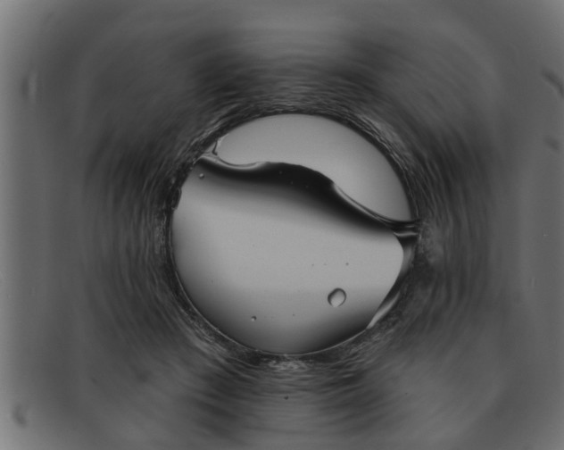 X0000091910409200709191323