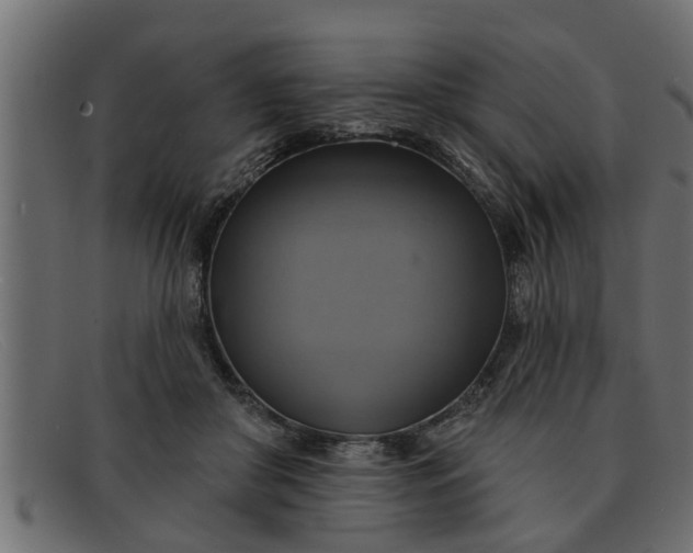 X0000091910410200709191323