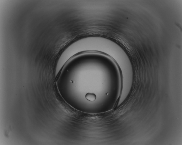 X0000091910411200709191323