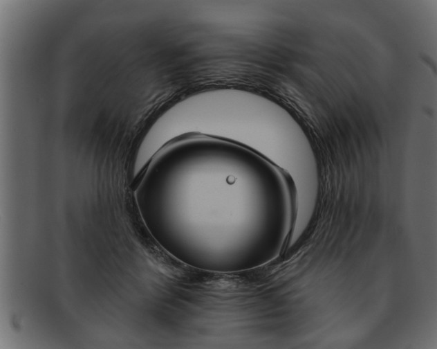 X0000091910412200709191323