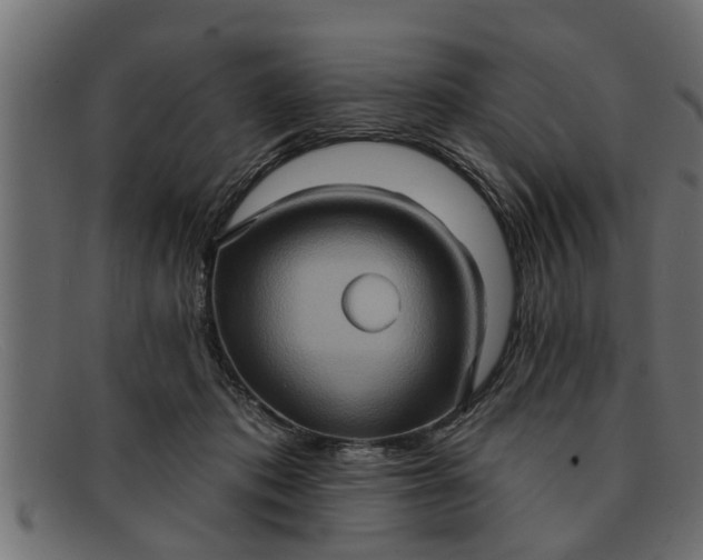 X0000091910413200709191323