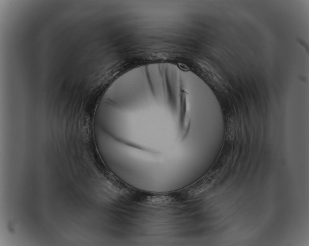 X0000091910414200709191323