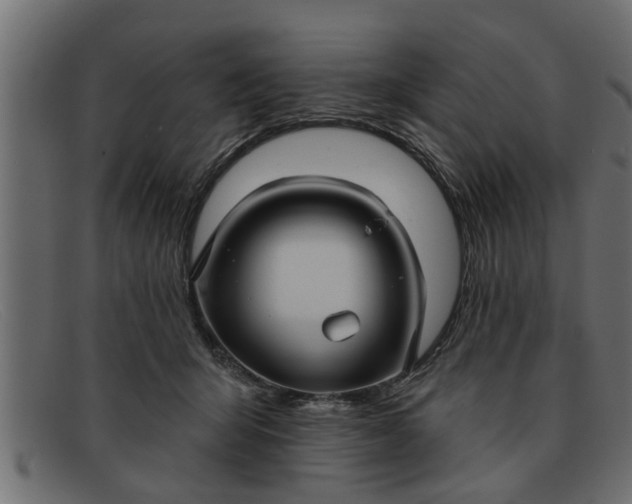 X0000091910415200709191323