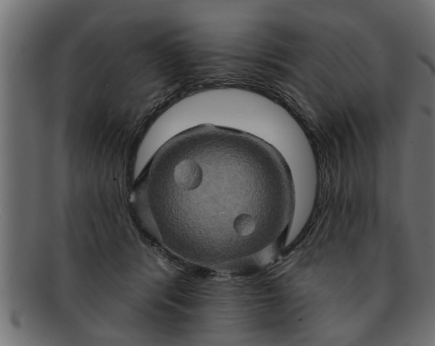 X0000091910416200709191323