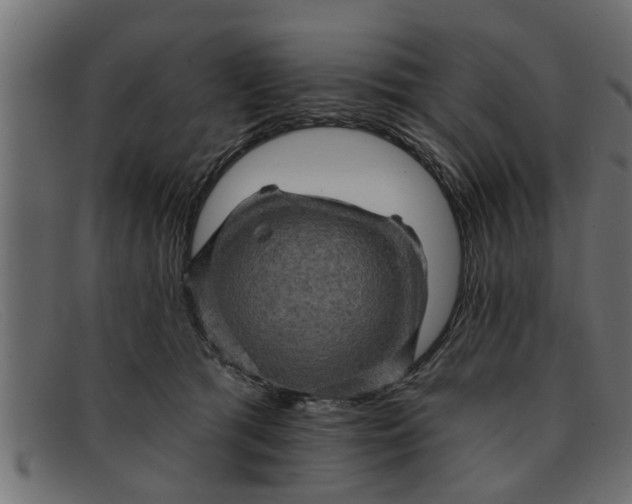 X0000091910417200709191323