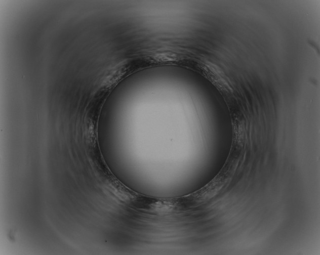 X0000091910418200709191323