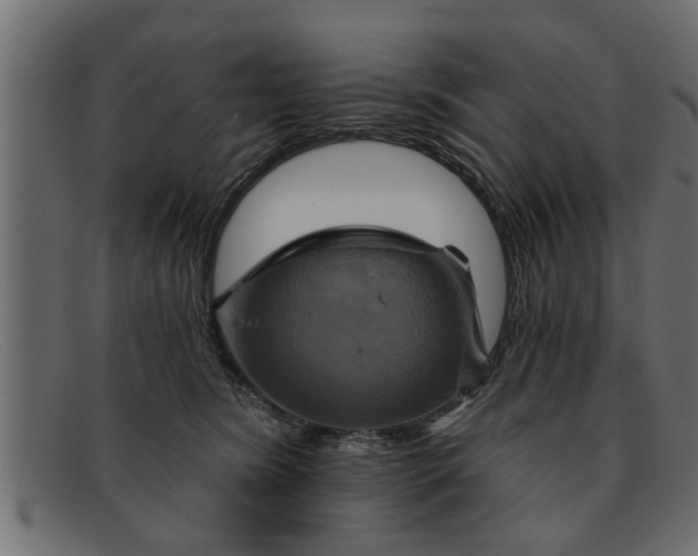 X0000091910420200709191323