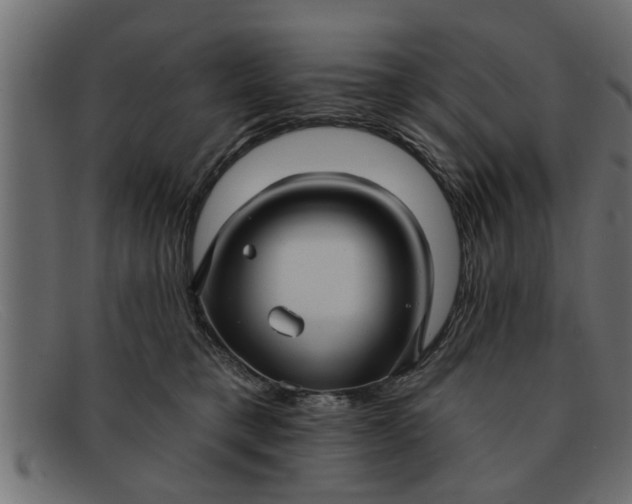 X0000091910421200709191323