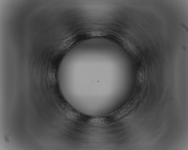 X0000091910422200709191323