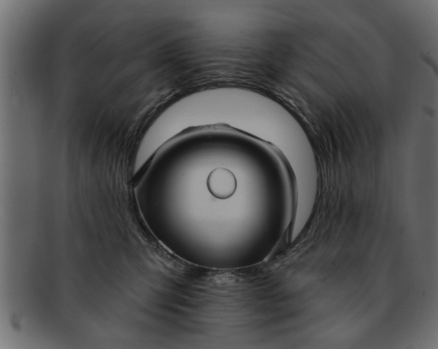 X0000091910423200709191323