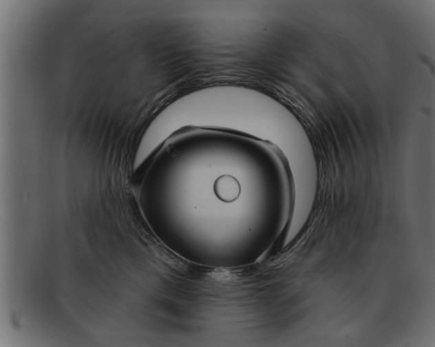 X0000091910425200709191323