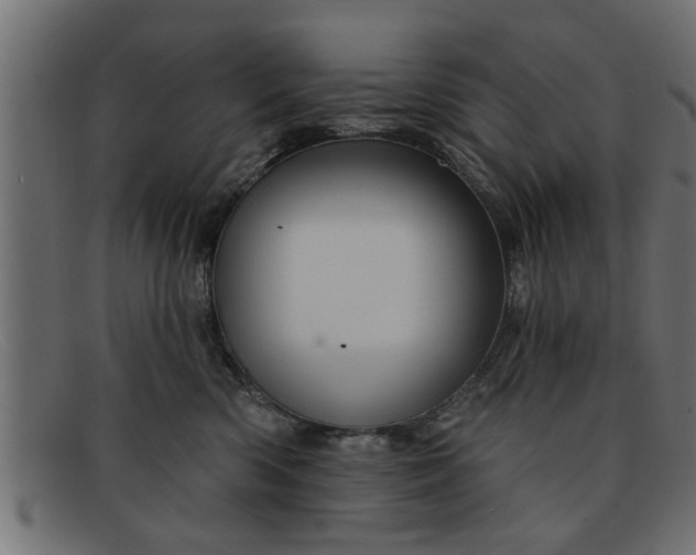 X0000091910426200709191323