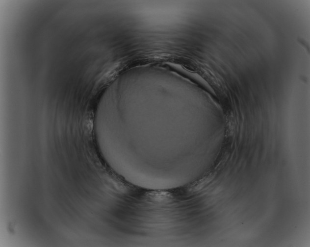 X0000091910427200709191323