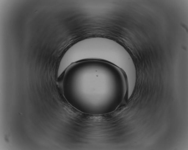 X0000091910428200709191323