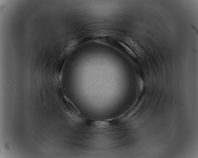 X0000091910429200709191323