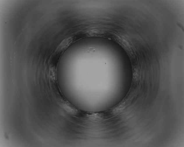 X0000091910430200709191323