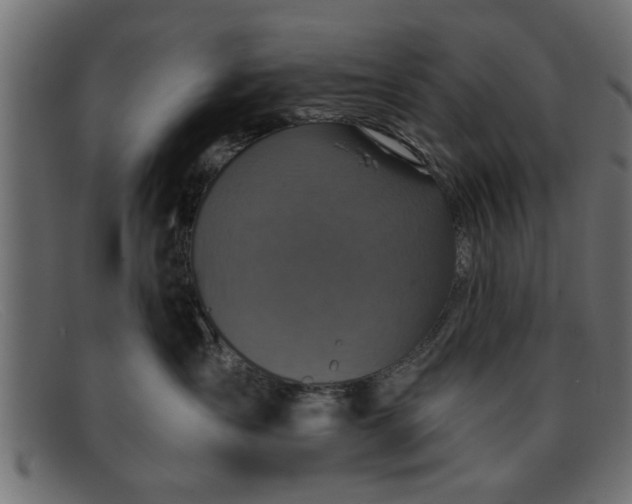 X0000091910431200709191323