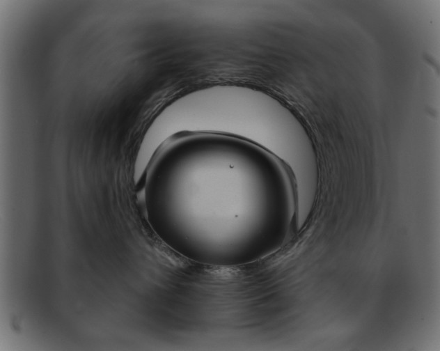 X0000091910432200709191323